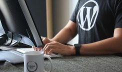 How to Hire Remote WordPress Developers